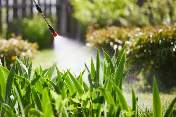 Tamper-Resistant Bait Stations for Rodents in Tell City