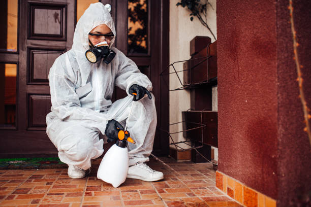 Attic and Crawl Space Rodent Treatment in Tell City