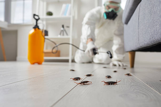 Commercial Rodent Management in Tell City